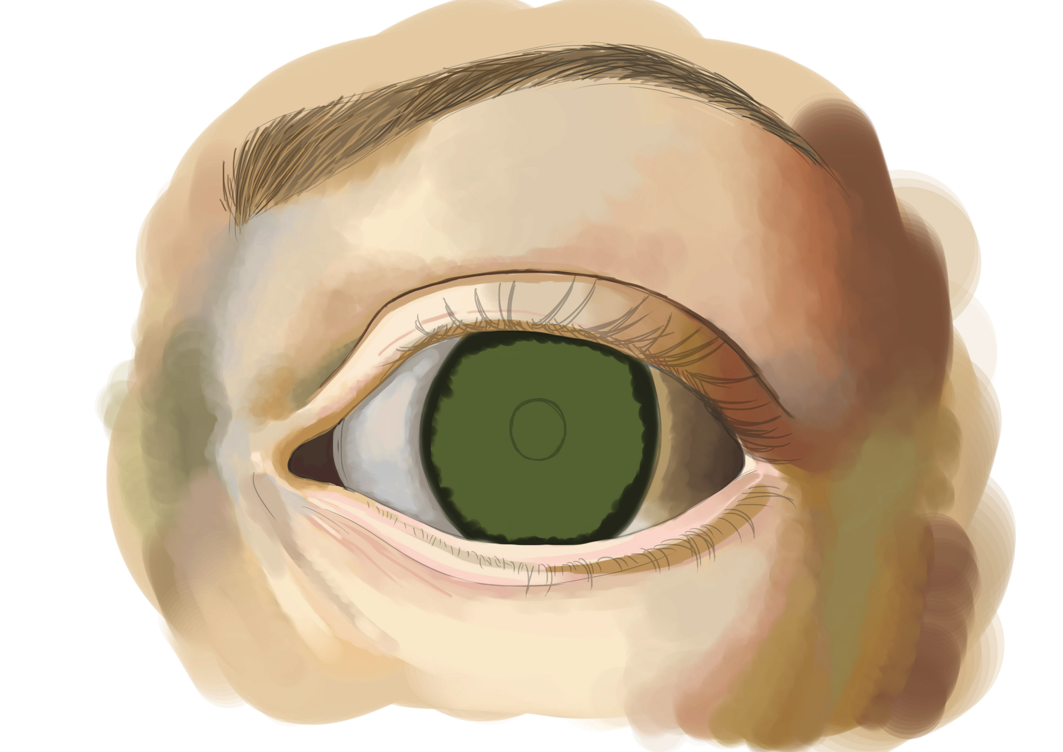 Appliquer une couleur principale à l'iris de l'oeil