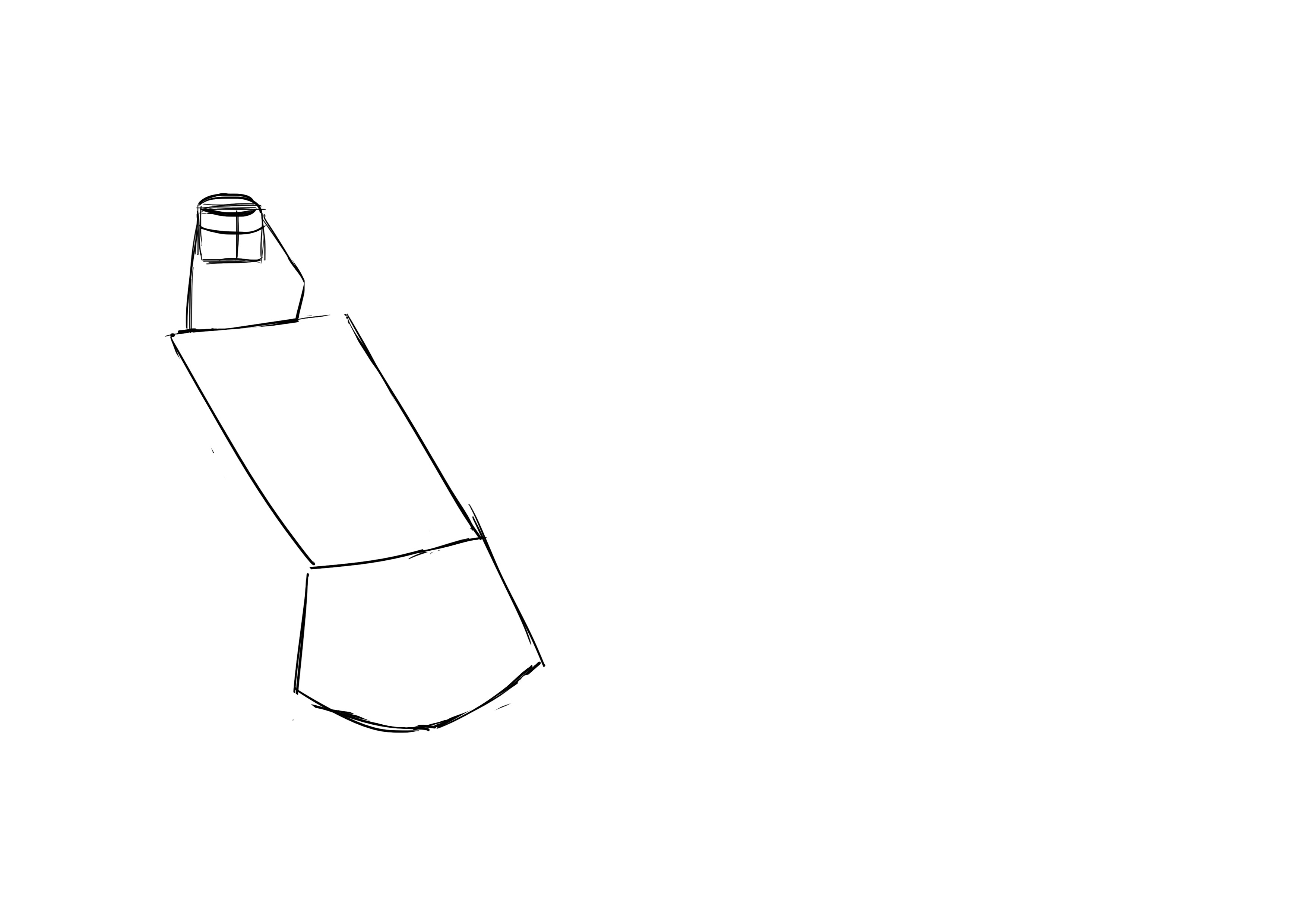 Croquis de la queue de l'oiseau