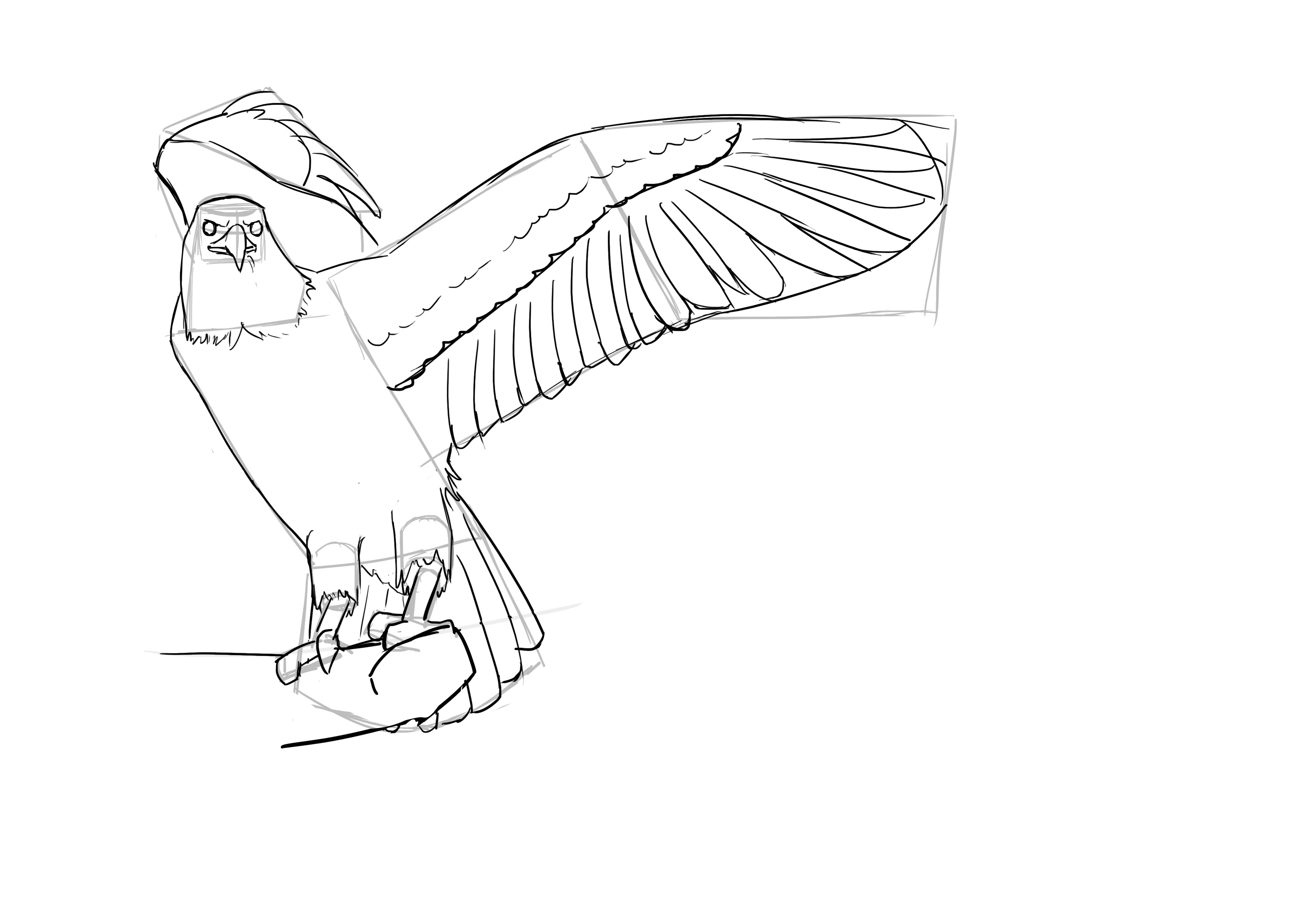 Dessin des ailes de l'oiseau 5