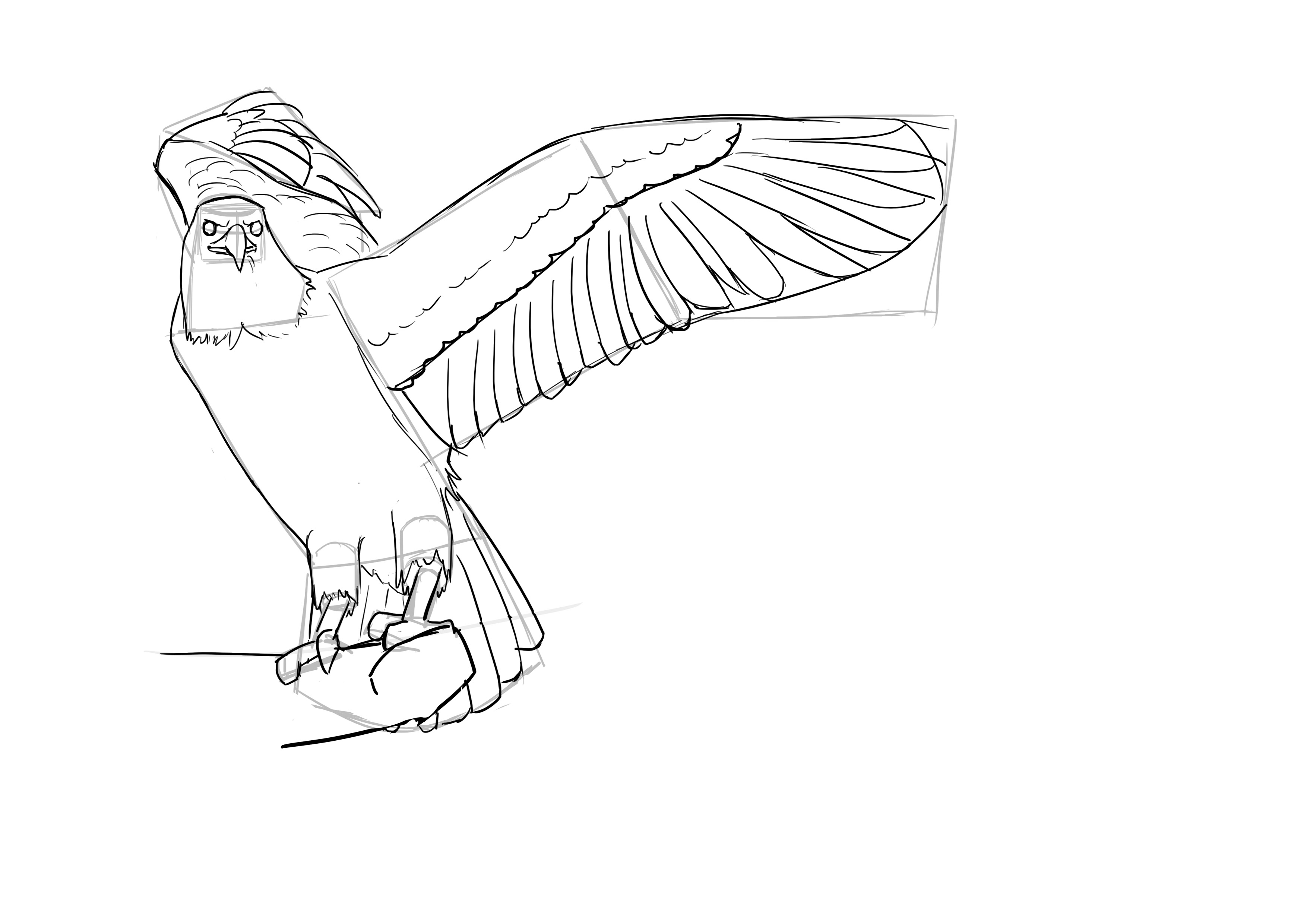 Dessin des ailes de l'oiseau 7