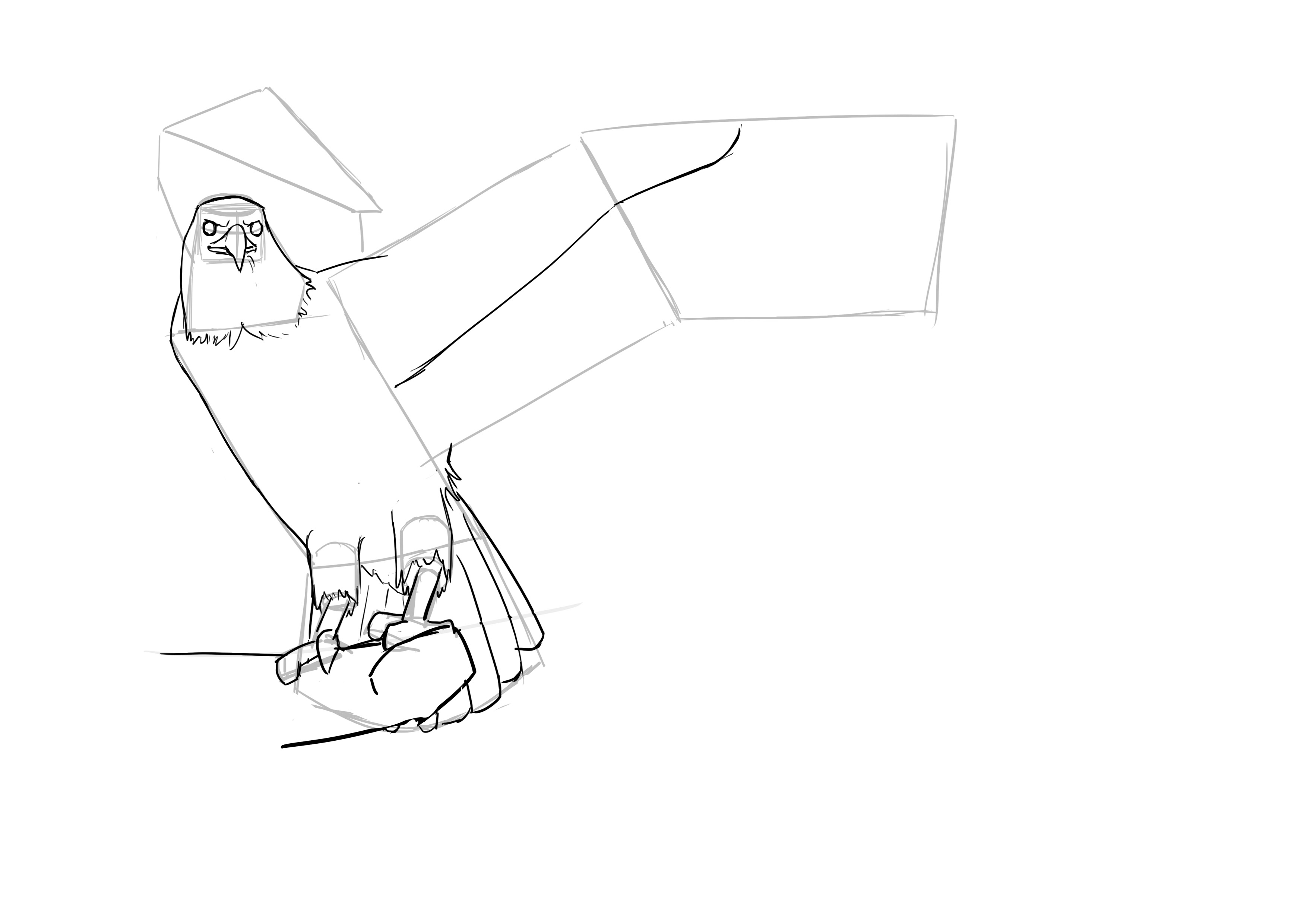 Dessin des ailes de l'oiseau