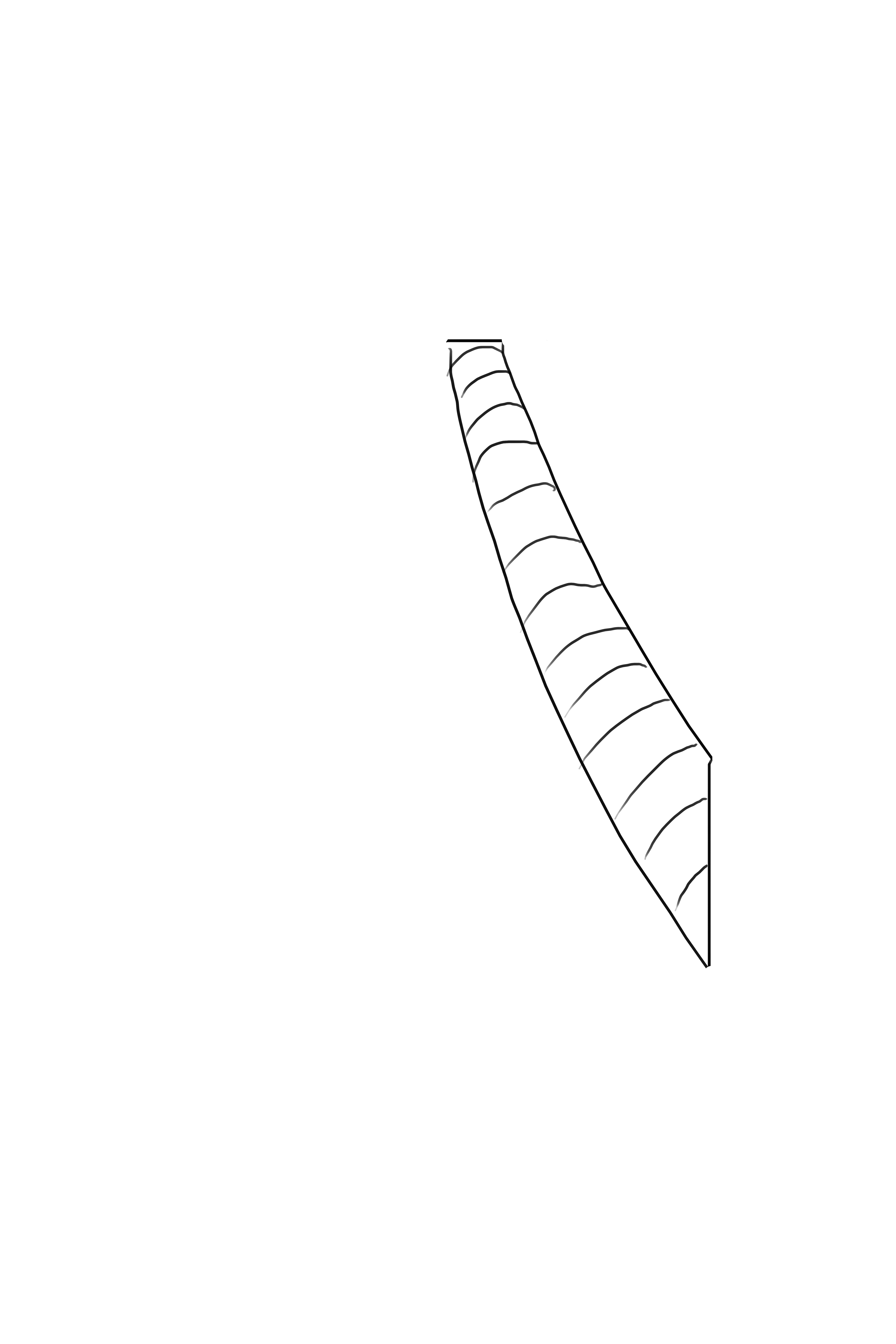 dessiner l’écorce du palmier 1