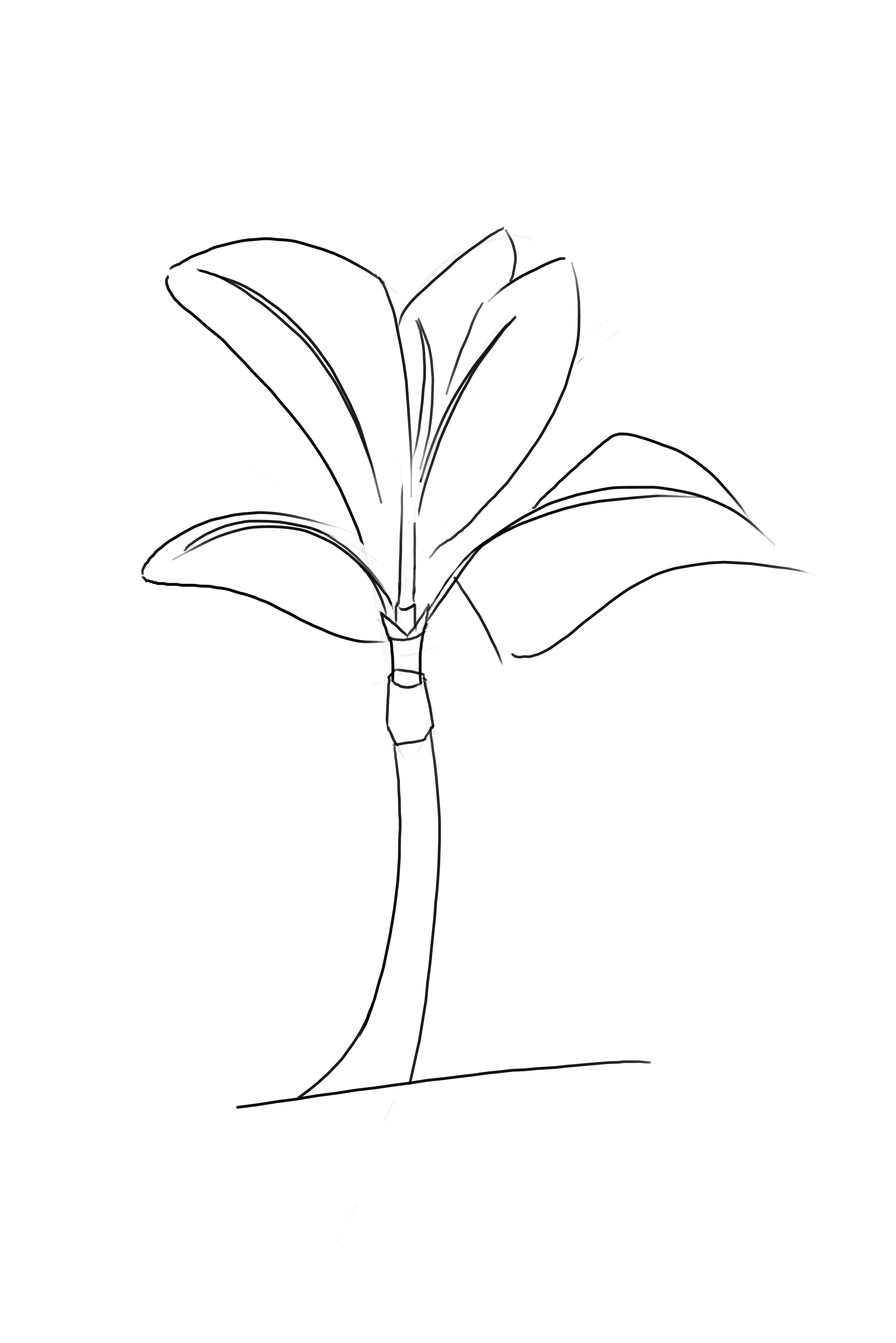 dessiner le feuillage du palmier 1