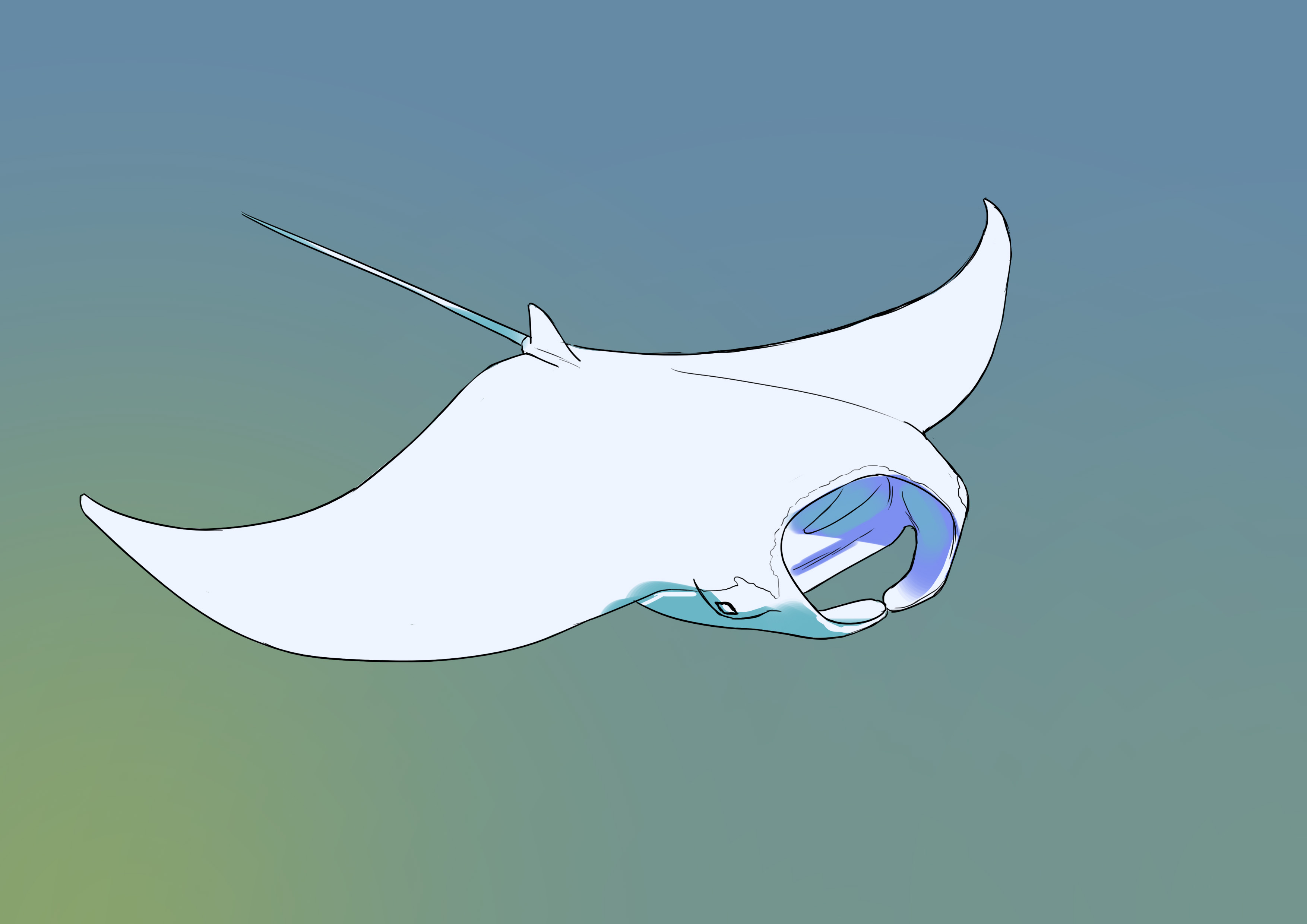 appliquer les ombres au dessin de raie