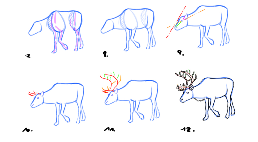 dessiner un renne étape par étape 2