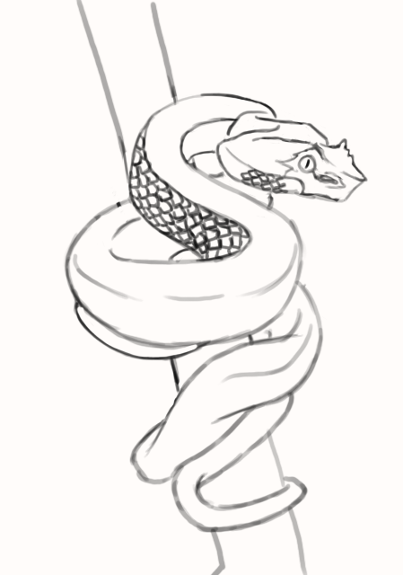 Dessin final du serpent