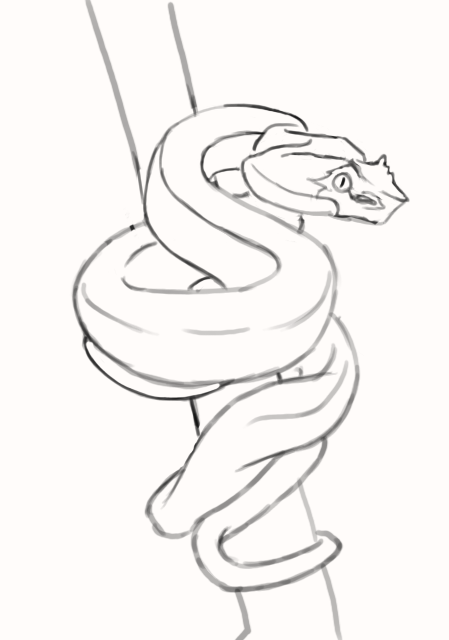 Détails du corps du serpent