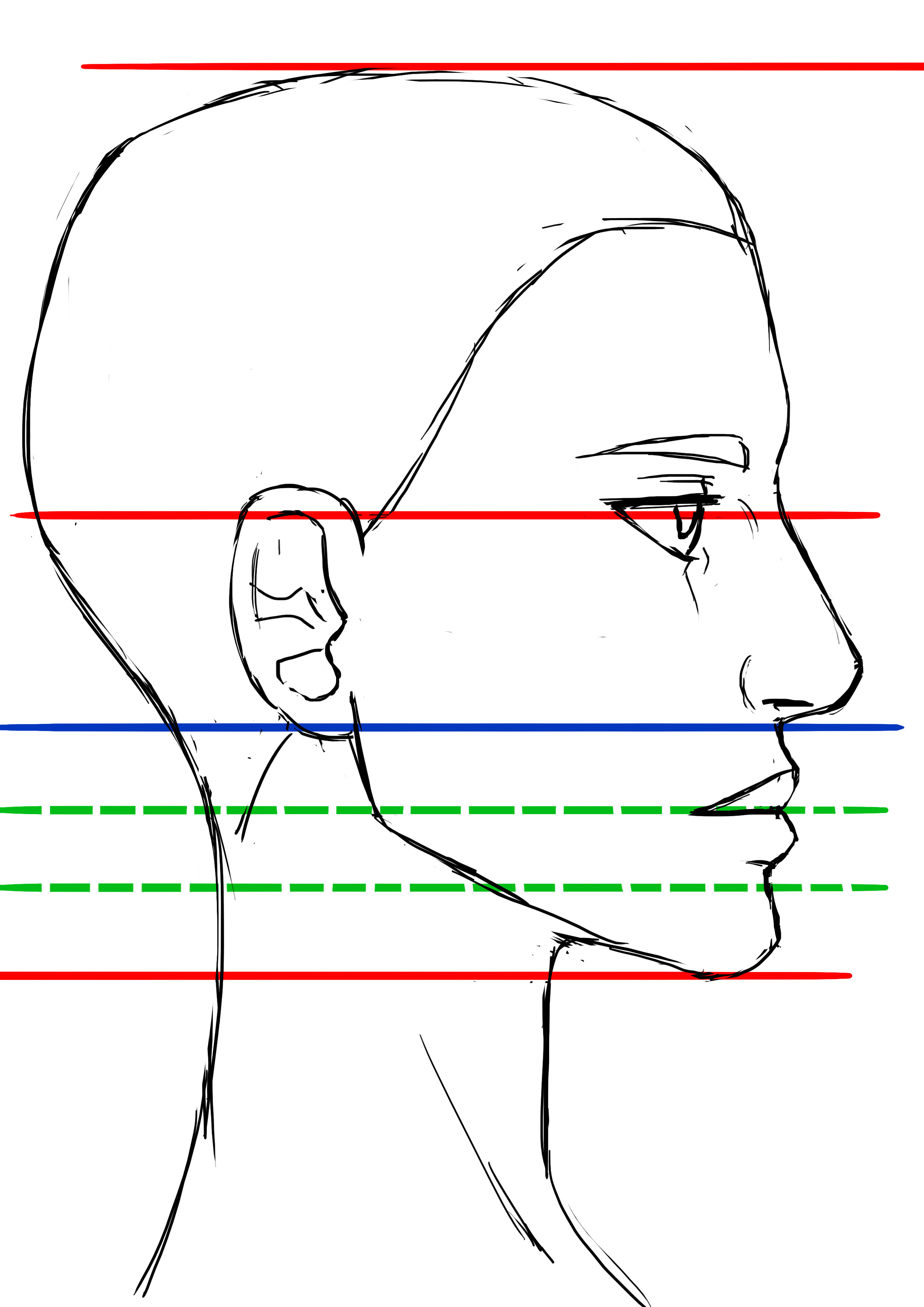 proportions du visage de femme de profil 2